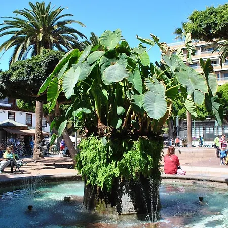 Durazno Tropical Апартаменты